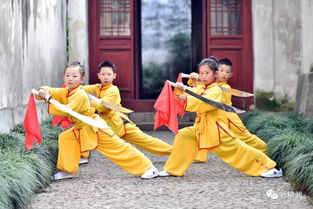 幼儿武术入门基本动作