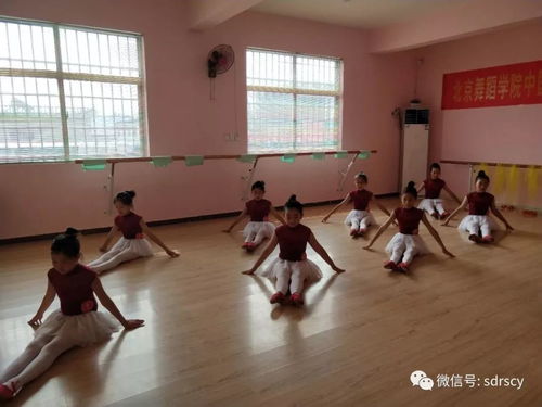 北京舞蹈学校排行榜