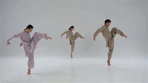 中国舞蹈事业发展的未来趋势