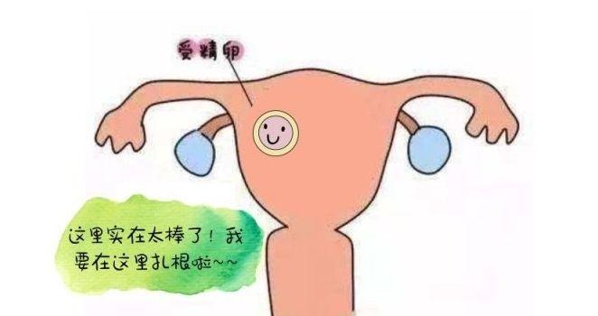 试管婴儿取卵后月经量变少