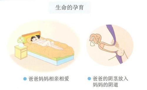 意外怀孕的孩子都是父母有缘吗
