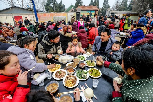 家庭事务协调与情感支持工作总结