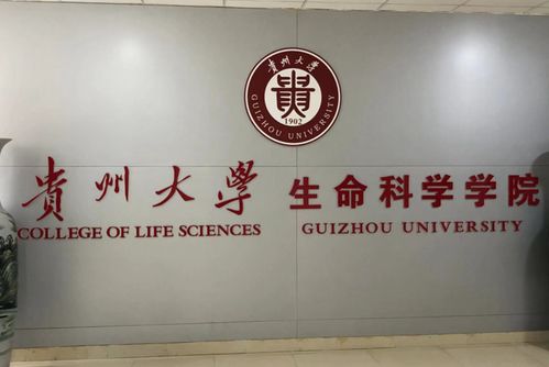 中科大保卫处招聘要求硕士以上学历，学历与能力并重，打造高素质安保团队