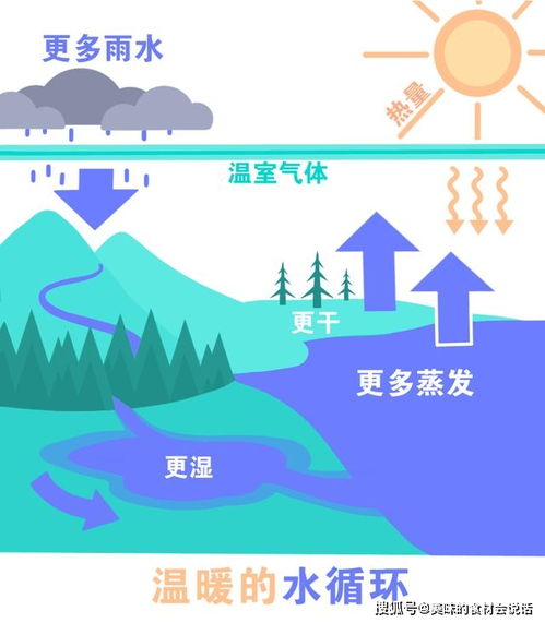 极端天气警示录，应对与反思