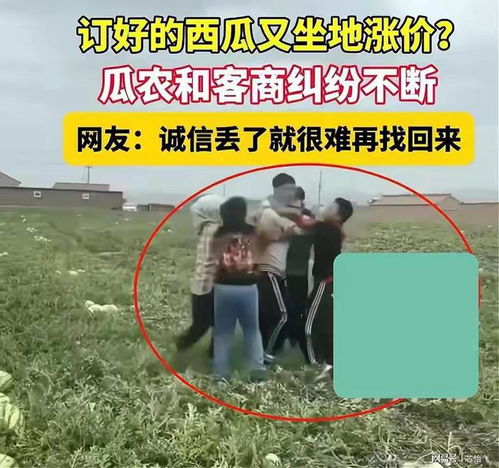 西瓜涨价风波，瓜农撕毁合同坐地起价引发市场震荡