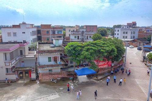 全红婵全家搬去偏僻果园居住的背后故事