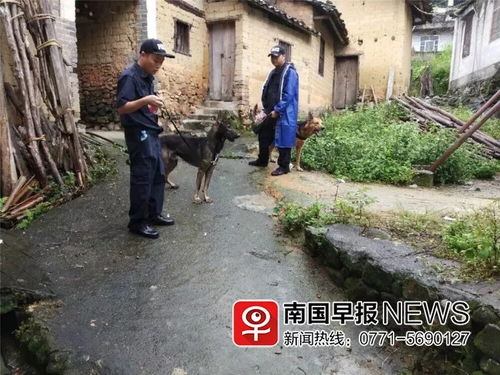 两岁女童深山奇迹生还，失踪七小时后的生命救援