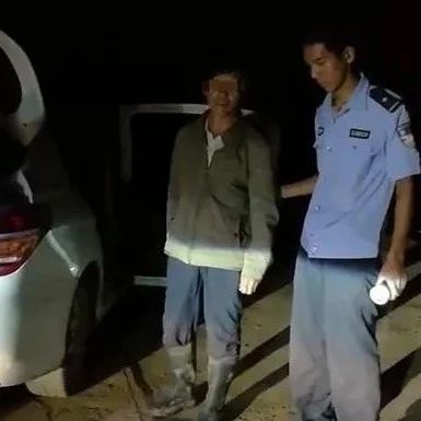 河南两男子因捕捉大量壁虎被刑拘，引发对人与自然和谐共生的思考