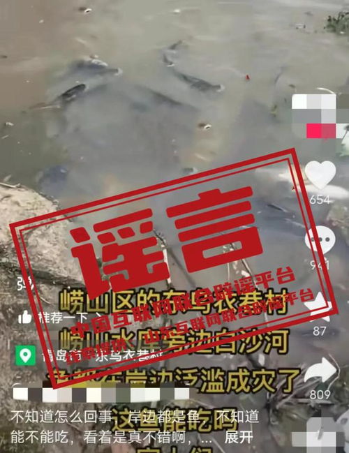 青岛崂山水库鱼类漂浮成灾？假的！