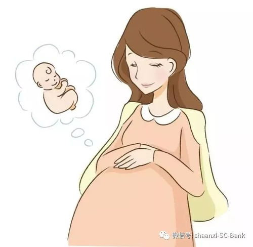 孕期保健与营养，打造健康妈妈与宝宝的第一步