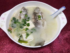 育儿专家教你如何烹饪营养又美味的鲫鱼汤