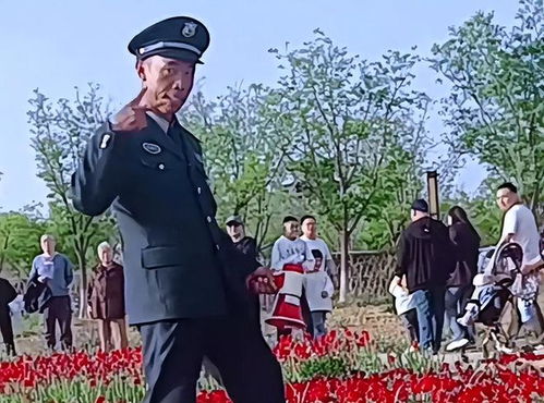 山西文旅，赢麻了的背后故事