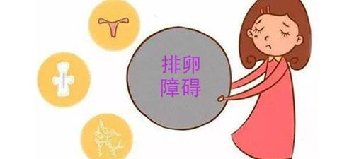 怀孕的早期征兆与应对策略