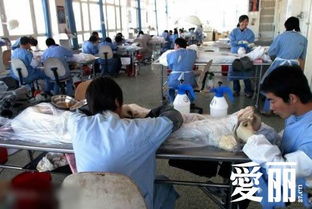 兰州遗体火化过程可观看，生命消逝与尊严守护