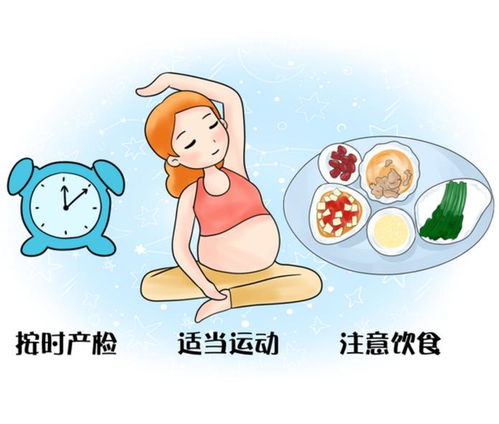孕期注意事项详述
