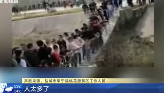 泰国坠毁飞机上最小中国游客仅12岁，悲剧中的深思与哀悼