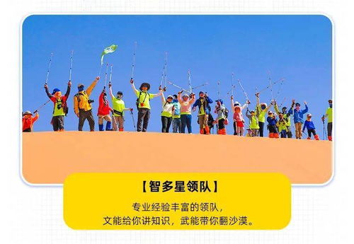 国庆节期间的儿童户外活动指南，根据天气选择合适的亲子活动