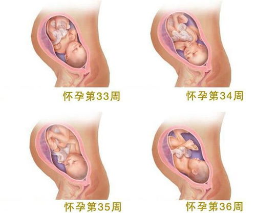 怀孕三个月胎儿发育详解及注意事项