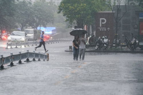 山东暴雨压迫下的无声挑战