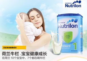 美国市场热门奶粉品牌深度解析与选购指南