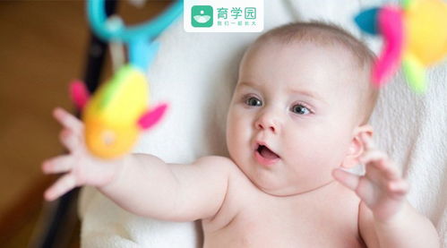 宝宝育儿大全