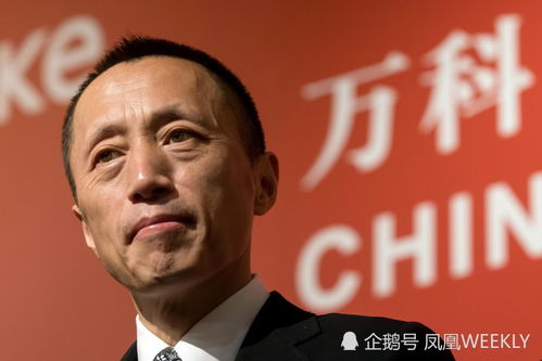 万科郁亮，房价已回落到合理水平——解析当前房地产市场趋势与挑战