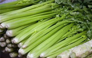 芹菜，宝宝健康成长的好帮手