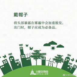 幼儿园户外活动的重要性及实施建议