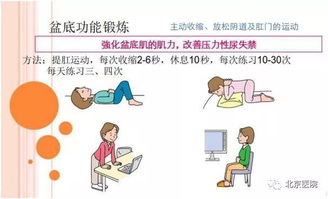 全面攻略，为怀孕做好万全准备