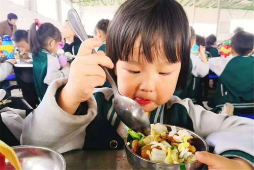 萌娃上幼儿园第三天，干饭热潮席卷而来