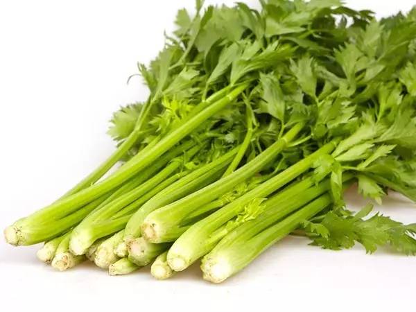 芹菜的营养与创意做法——让孩子爱上蔬菜的秘密