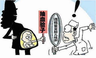 孕期特征与宝宝性别，科学与迷信之间的探讨