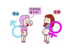 孕期特征与宝宝性别，科学与迷信之间的探讨