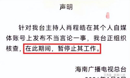 电力公司人员造谣海南停电被处罚，责任与言论的警示