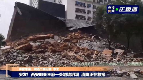 台风肆虐下的悲剧，估价高达260万的海口花梨王倒塌