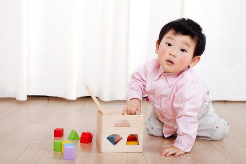 八个月婴儿早教，激发宝宝潜能的关键时期