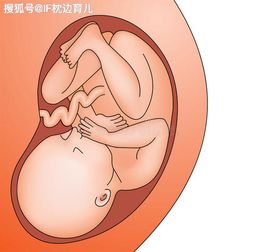 怀孕32周，宝宝的成长与妈妈的注意事项