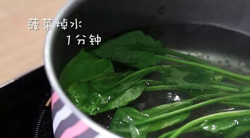育儿营养课堂，巧用海带丝，为孩子打造营养均衡的美味佳肴
