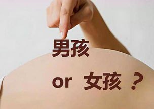 早知胎儿性别，准父母应考虑的几个关键因素