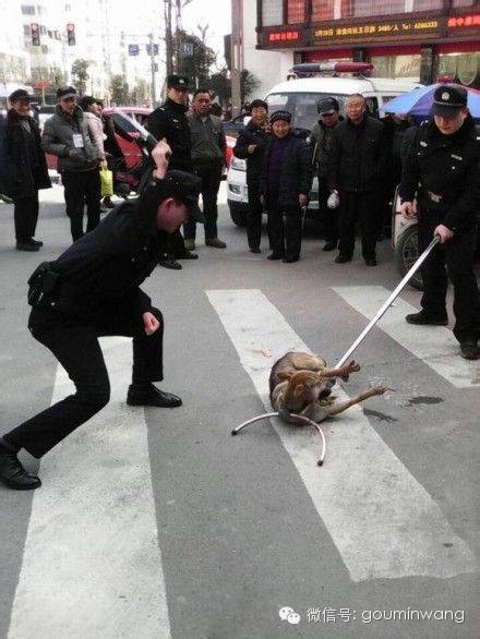 警方回应男子当街绑孩子事件，真相与行动的重要性