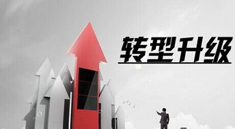 月饼遇寒流，高端市场转型与消费观念变迁