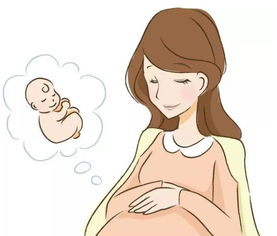 怀孕31周，准妈妈与胎宝宝的奇妙旅程