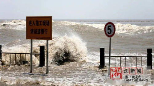 浙江舟山为防台风万人大撤离，未雨绸缪，众志成城