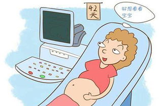 胎儿性别鉴定，科学与伦理的探讨