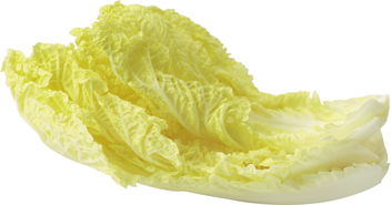 大白菜里的育儿智慧——以食材烹饪为喻的亲子教育启示