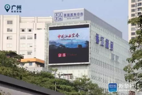 实探美诚月饼广州生产厂，探寻传统与创新的融合之道