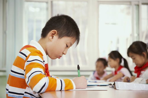 湖南小学困境，招不到生的背后与校长的回应