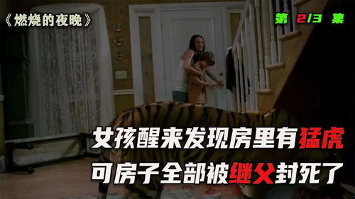 美国惊魂，少女弑母后设圈套枪击继父