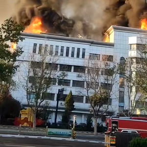 山东齐河财政局办公楼起火物查明，事故背后的深度剖析
