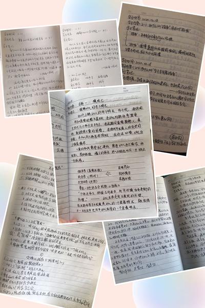 幼儿园大班教育笔记
